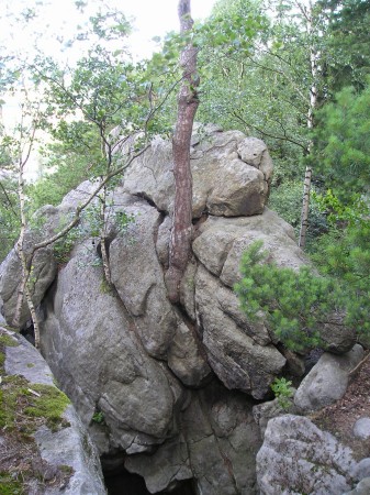 Ziemia K40.jpg